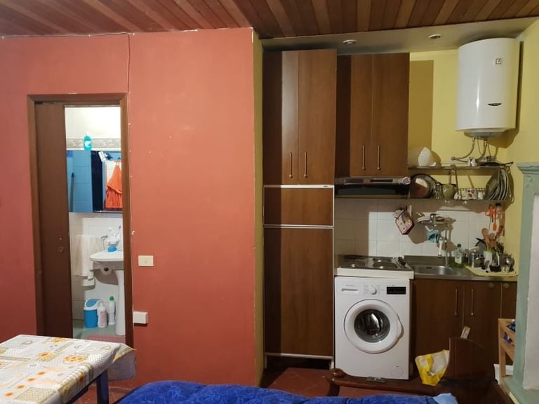 Small studio apartment interior with coral pink walls, kitchenette, white washing machine, wooden cabinetry, and open doorway